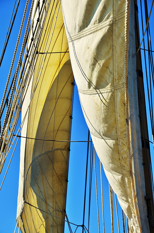 Sibling Sails Photograph by Jon Exley