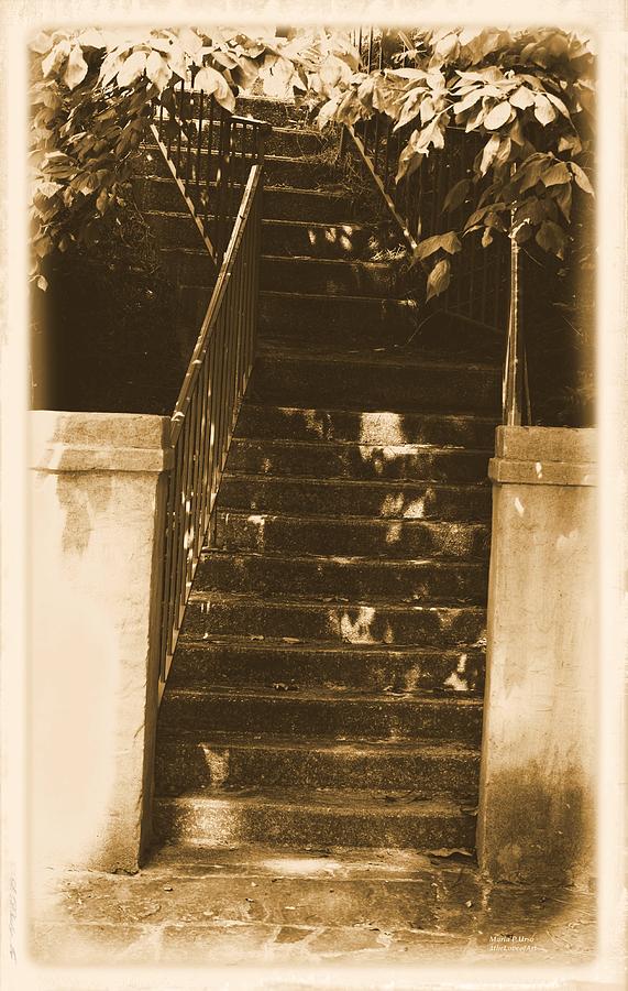 Staircase Photograph - Sibyl Staircase by Maria Urso