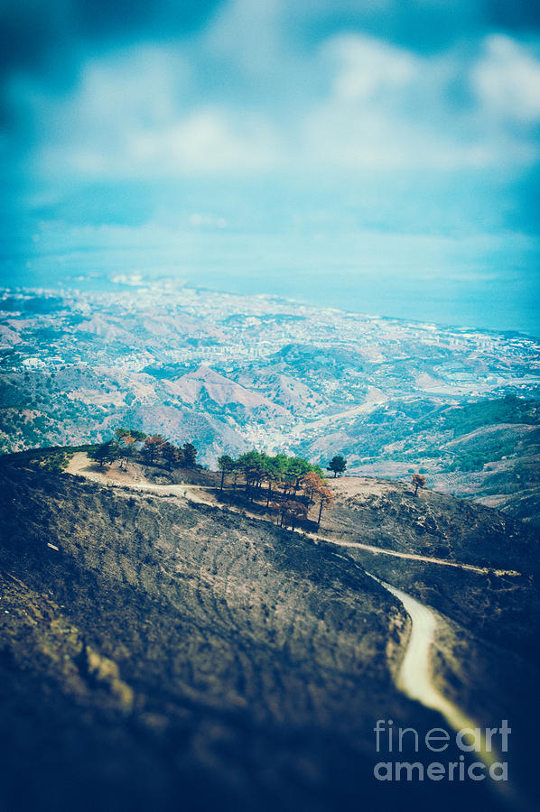 Sicilian land after fire Photograph by Silvia Ganora