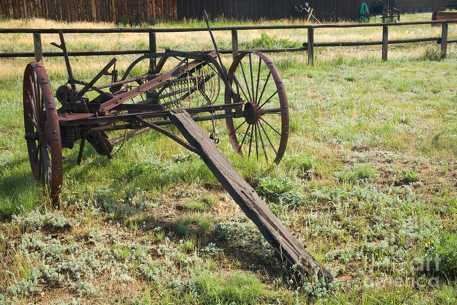 Side Delivery Rake at the MacGregor Ranch Photograph by Fred Stearns