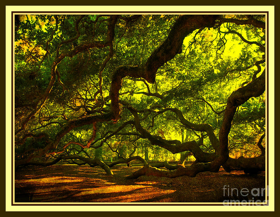 Side Limbs of the 1400 Year Old Angel Oak Photograph by Susanne Van Hulst
