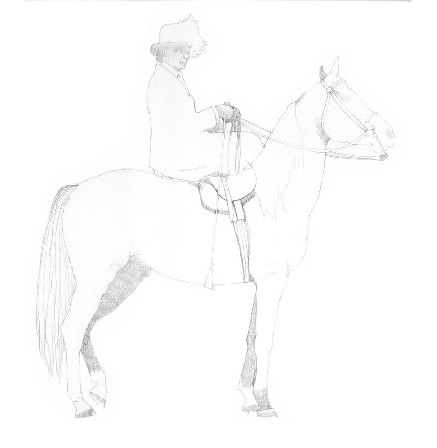 Side-saddle Drawing by Robert Bissett