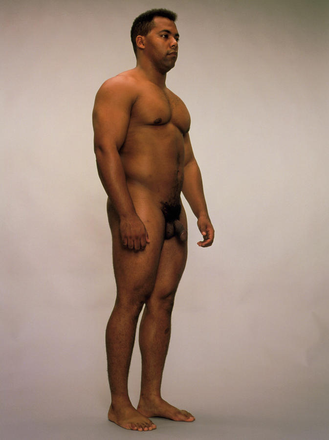 Side View Of A Healthy Naked Man Photograph by Hattie Young/science Photo Library