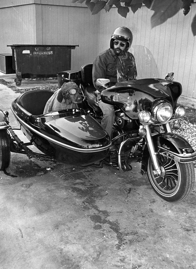 Vintage Photograph - Sidecar rebel dog by Retro Images Archive