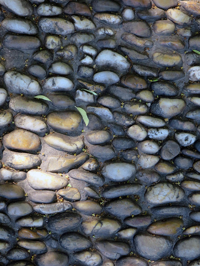 Sidewalk Mosaic Photograph by Rick Locke - Out of the Corner of My Eye