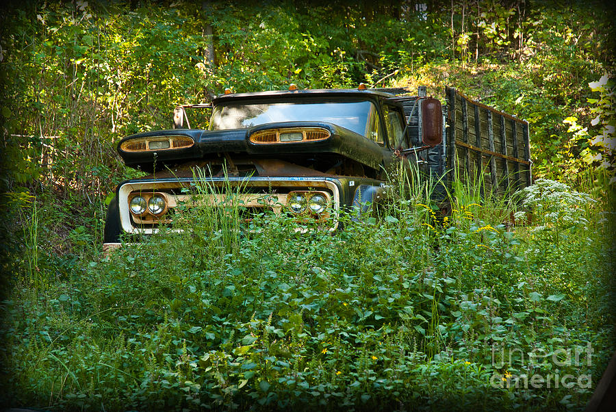 Nature Photograph - Sids old truck by Lena Wilhite