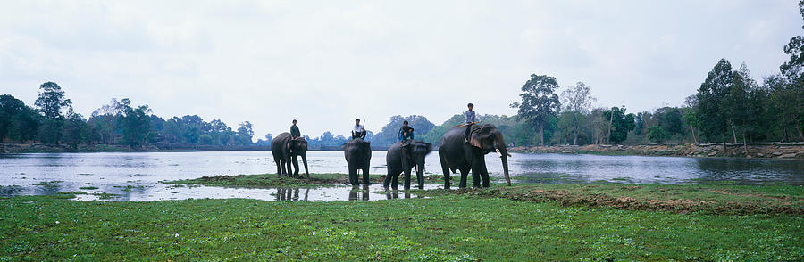 Elephant Photograph - Siem Reap River & Elephants Angkor Vat by Panoramic Images