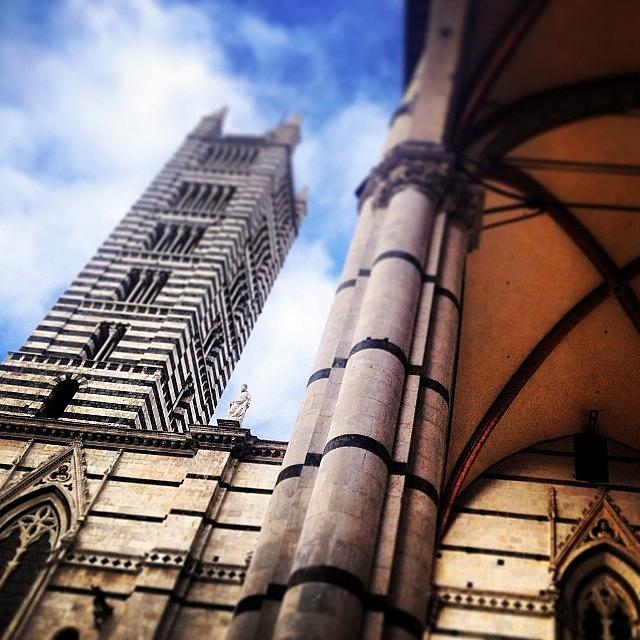 Siena Duomo In A Sunny Day Photograph by Armando Costantino
