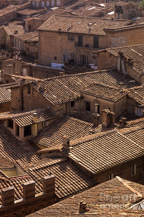 Siena Photograph - Siena Rooftops by Derek Croucher