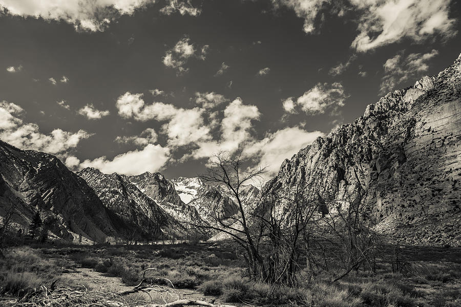 Sierra Box Canyon Photograph by Michele Cornelius