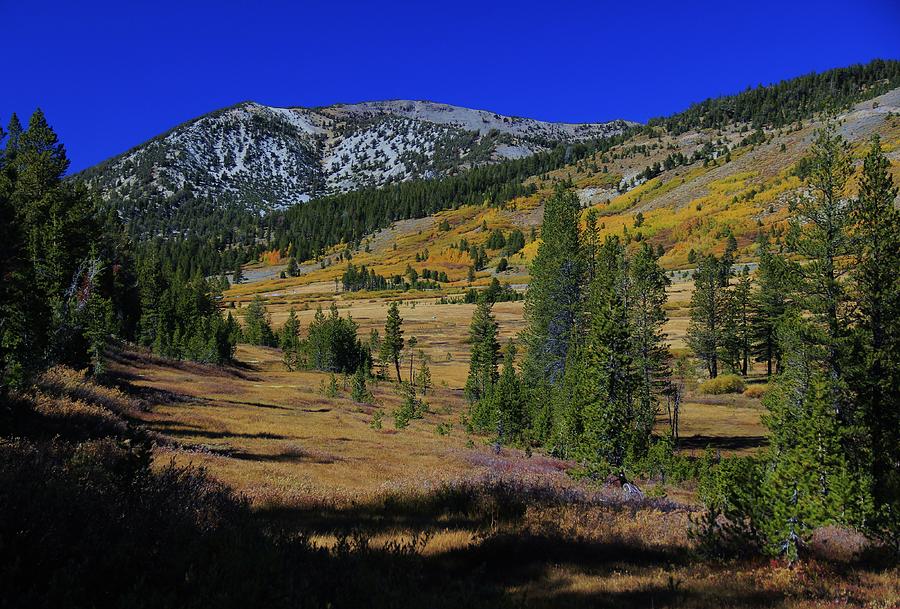 Sierra Fall  Photograph by Sean Sarsfield