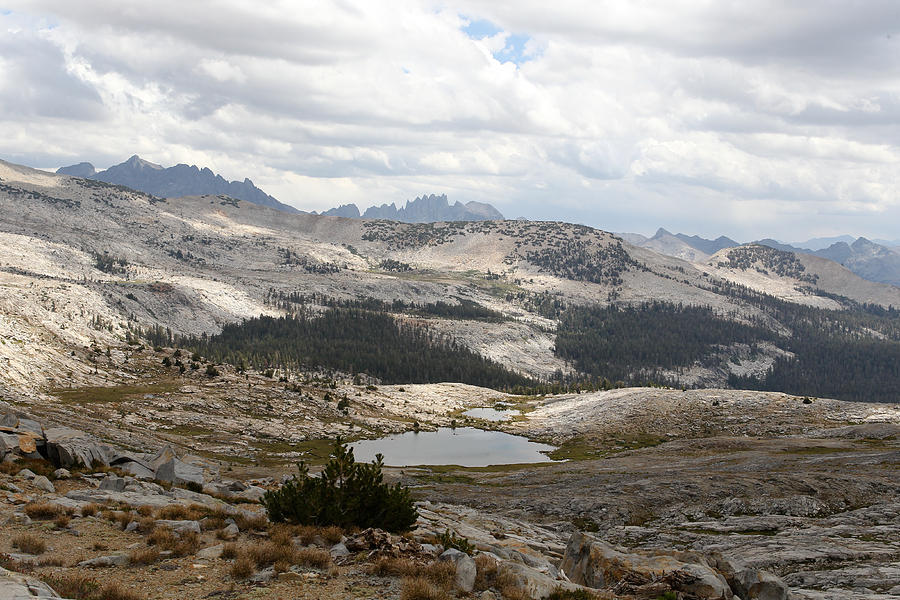 Sierra Mountains 2 Photograph by Diane Bohna