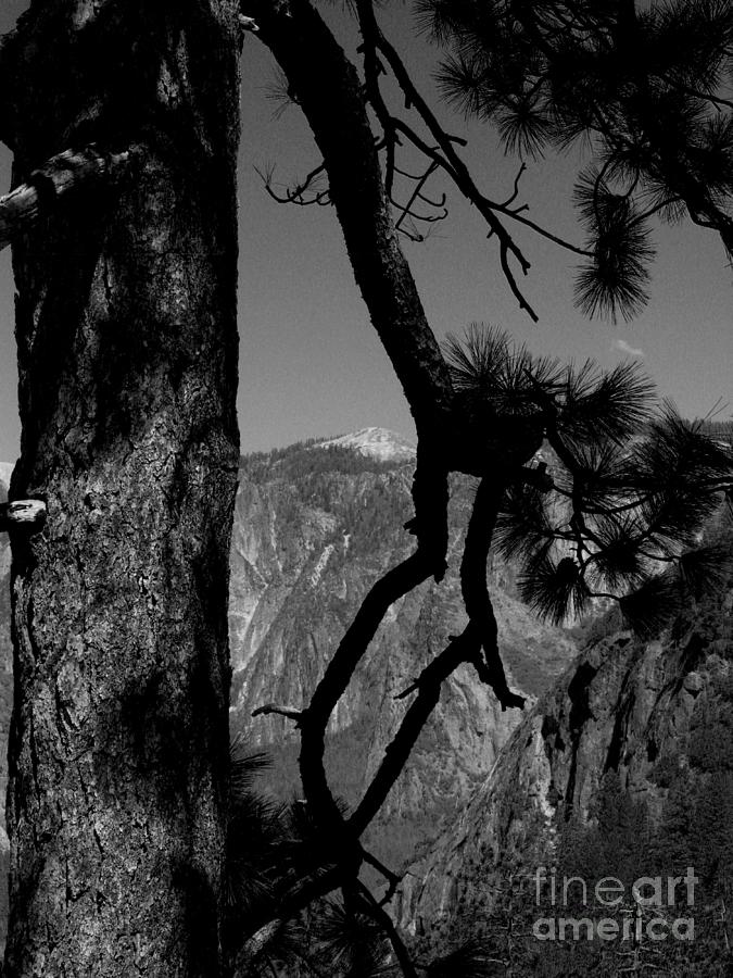 Sierra Nevada black and white Photograph by Mini Arora