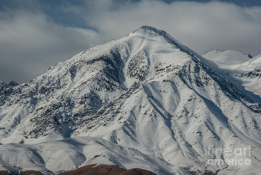 Winter Scenes Photograph - Sierra Nevadas 1.7341 by Stephen Parker
