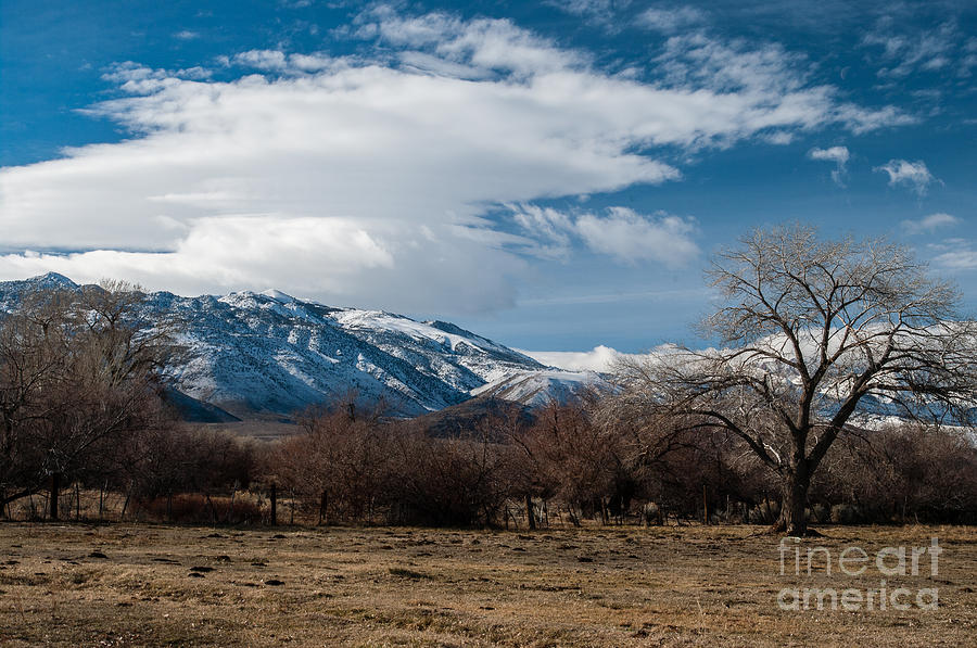 Winter Scenes Photograph - Sierra Nevadas 2.3178 by Stephen Parker
