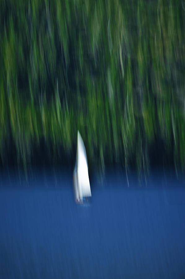 Sierra Sailing Photograph by Sherri Meyer