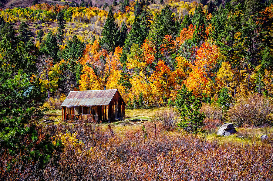 Fall Photograph - Sierra Solitude 2 by Scott McGuire