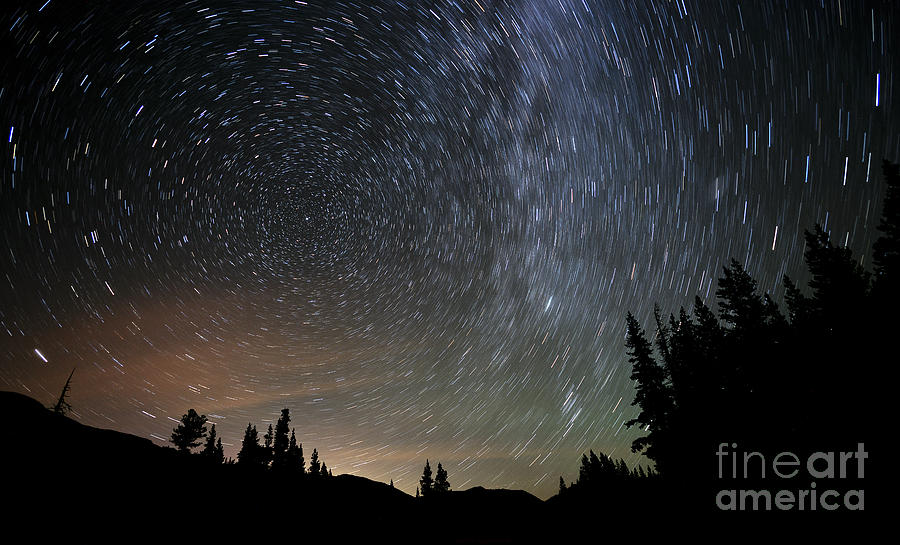 Tree Photograph - Sierra Star Trails by Dianne Phelps