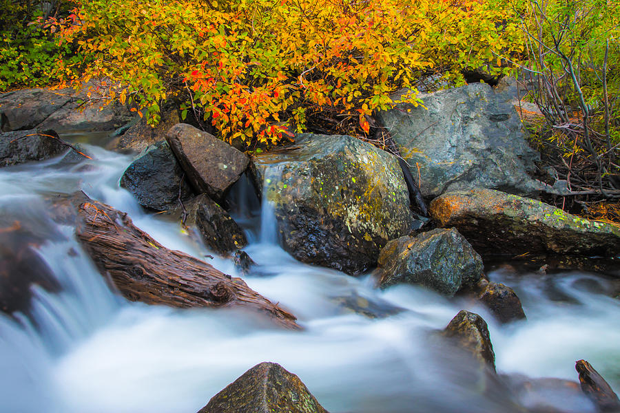 Sierra Stream Photograph by Marc Crumpler