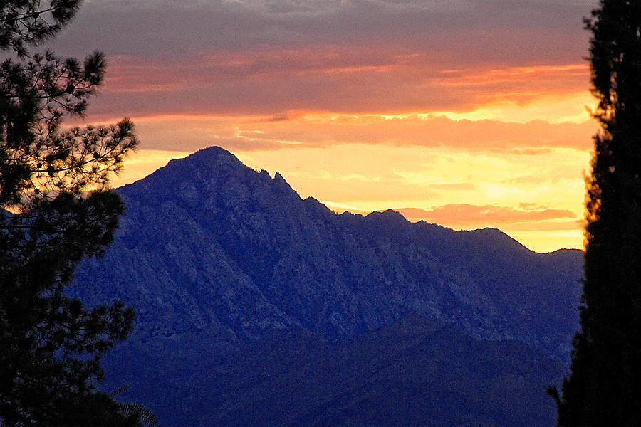 Sierra Sunset Photograph by John Bennett