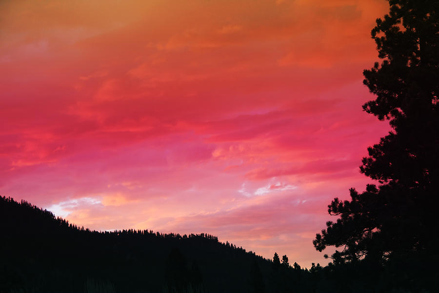 Sierra Sunset Photograph by Melinda Fawver