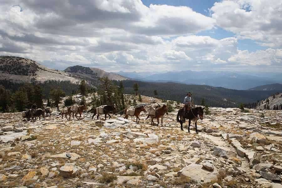 Sierra Trail Photograph by Diane Bohna