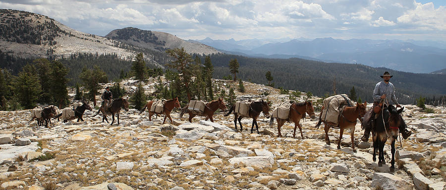 Sierra Trails - 2 Photograph by Diane Bohna