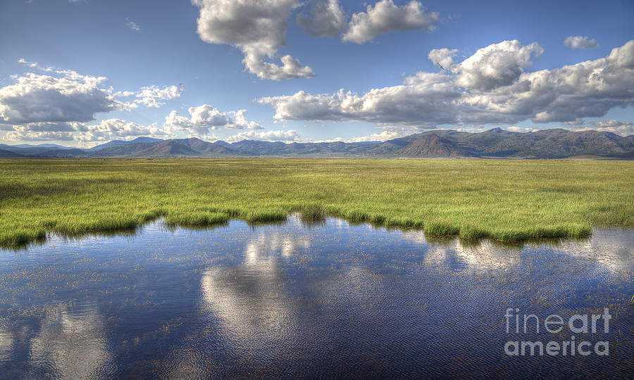 Sierra Valley Wetlands II Photograph