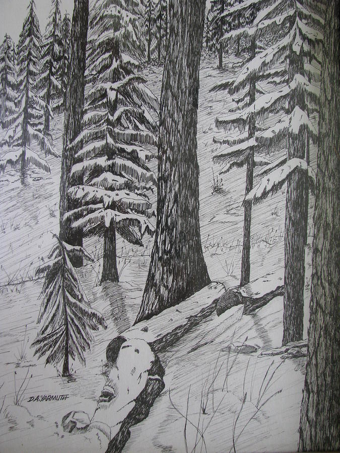 Sierra Winter Drawing by Dale Yarmuth