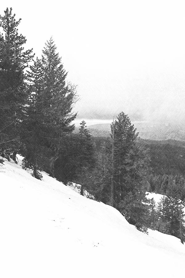 Sierra Winter Photograph by Frank Wilson
