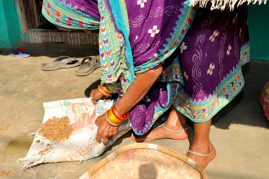 Sifting rice Odisha India Photograph by Diane Lent