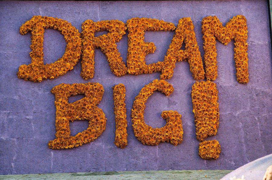 Sign Dream Big Photograph by Connie Cooper-Edwards