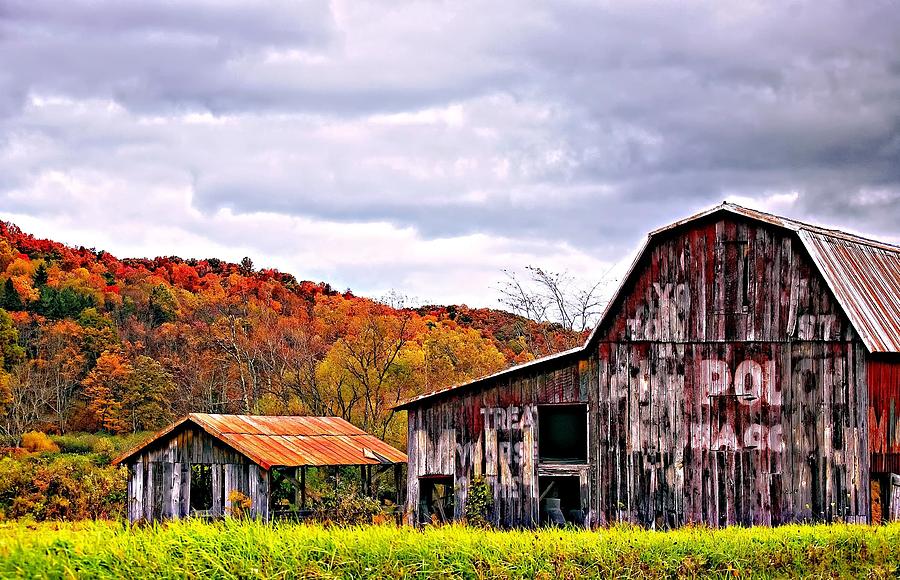 Fall Photograph - Sign of the Times by Steve Harrington