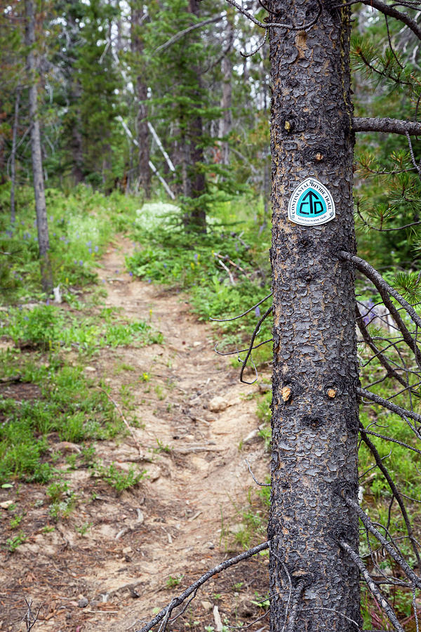 Sign On Continental Divide Trail Photograph by Jim West