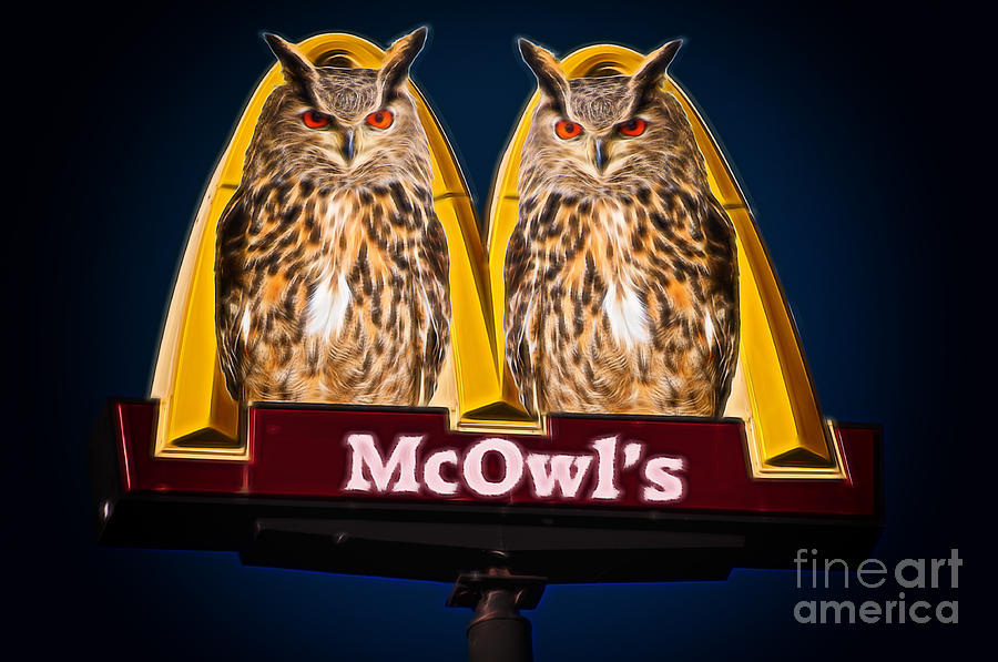 Sign with two owls Photograph by Les Palenik
