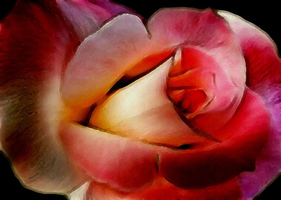 Signature Rose Digital Art by Madeline  Allen - SmudgeArt