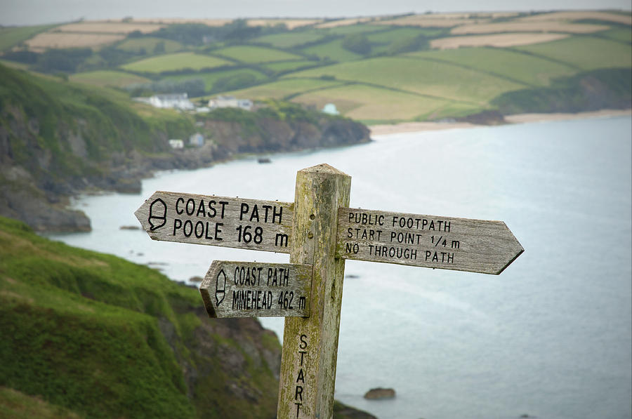 Signpost Photograph by Chevy Fleet