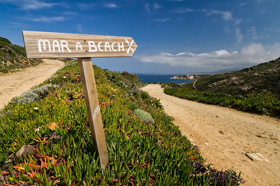 Signpost Pointing To The Beach At La Revellata In Corsica By Jon Ingall