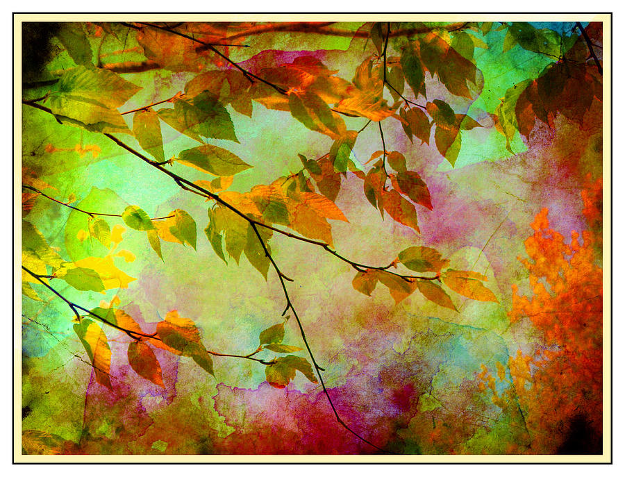 Signs of Autumn Digital Art by Nina Bradica