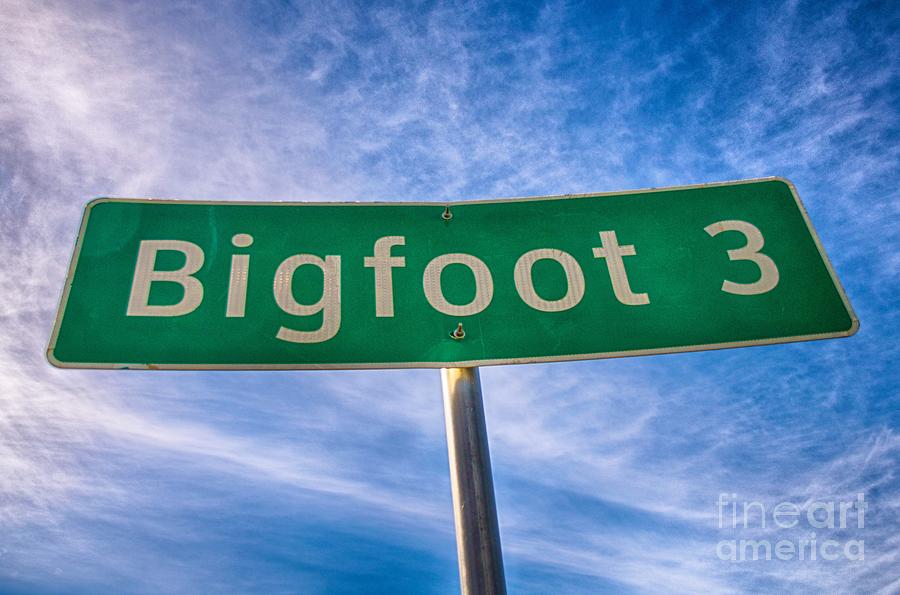 Signs of Bigfoot Photograph by Ken Williams