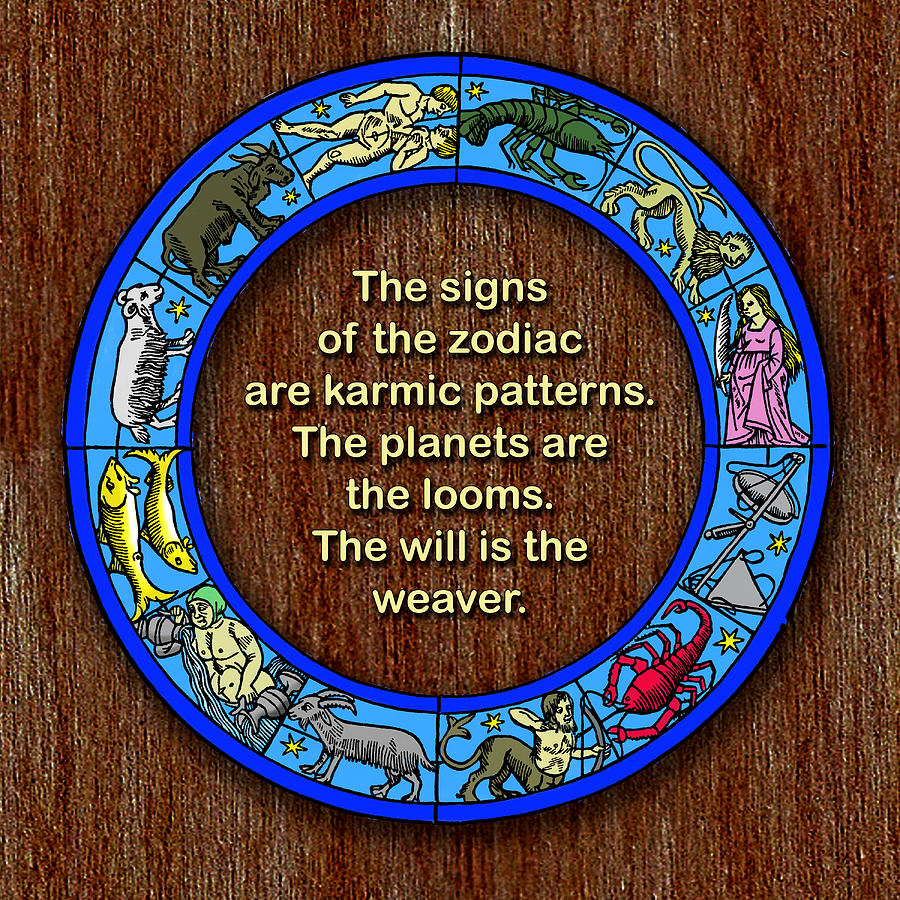Signs of the Zodiac Photograph by Mike Flynn