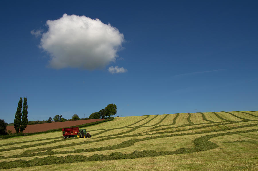 Spring Photograph - Silage collection by Pete Hemington