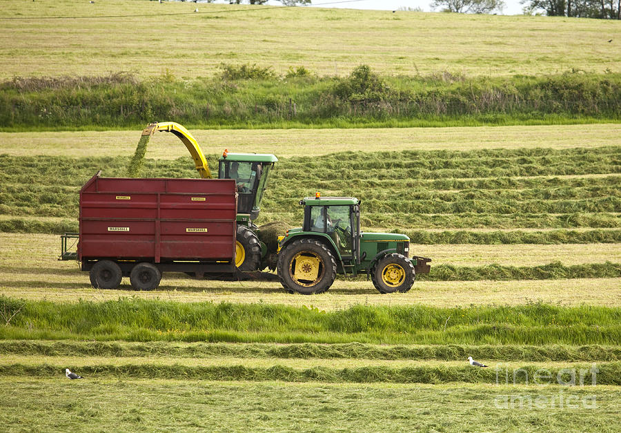 Silage harvesting Photograph by Liz Leyden