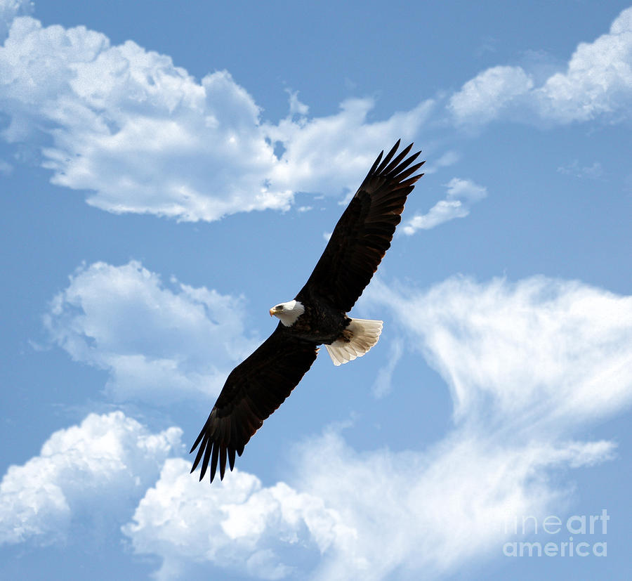 Silence and solitude Photograph by Lori Tordsen - Fine Art America