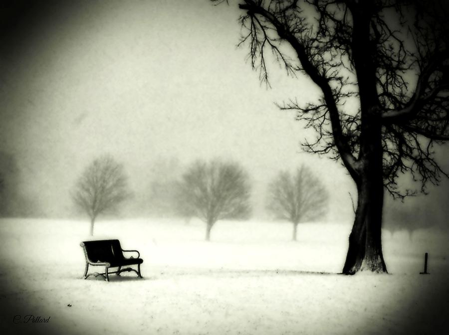 Silence Black and White Photograph by Christy Pollard - Fine Art America