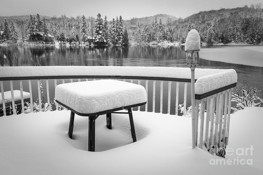 Silence by Jola Martysz Silence by Jola Martysz