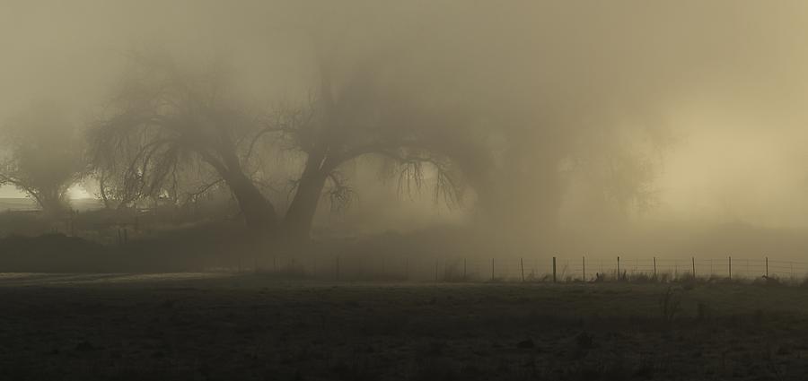 Silence Speaks of mists Photograph by Rae Ann  M Garrett
