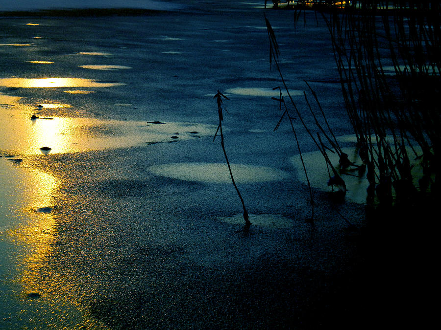 Sunset Photograph - Silence Sunset by Colette V Hera Guggenheim