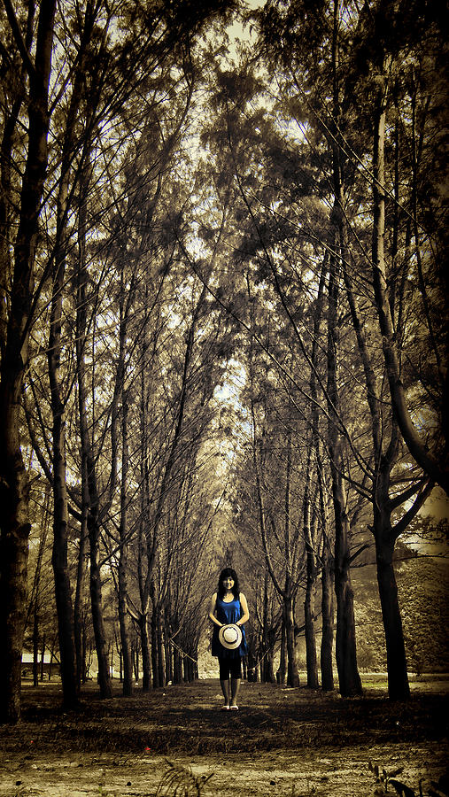 Tree Photograph - Silence by Suradej Chuephanich