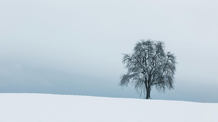 Silence Photograph by Tobias Knoch Silence Photograph by Tobias Knoch